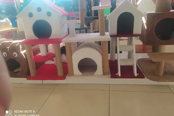 CEMRE PETSHOP - Resim 5