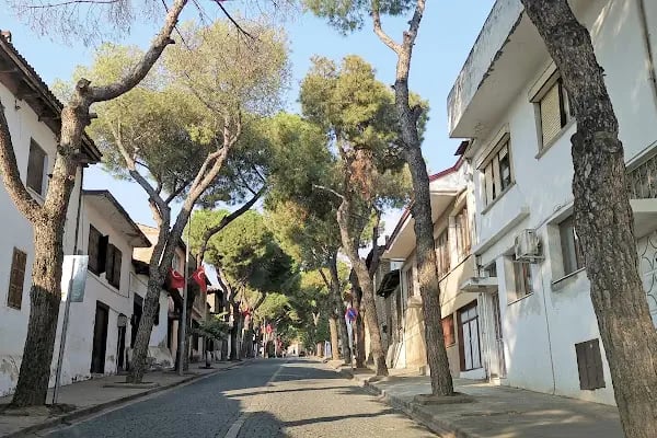 AYDINOĞLU MEHMETBEY TÜRBESİ - Resim 20