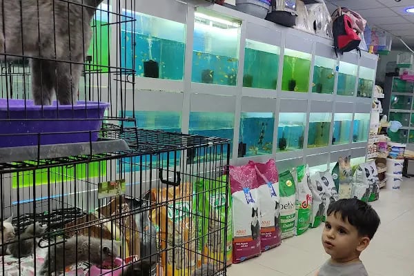 Trend Pet Market Petshop - Resim 2