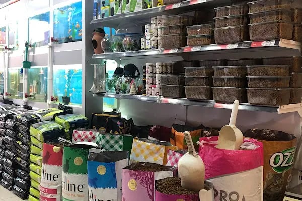 Trend Pet Market Petshop - Resim 19