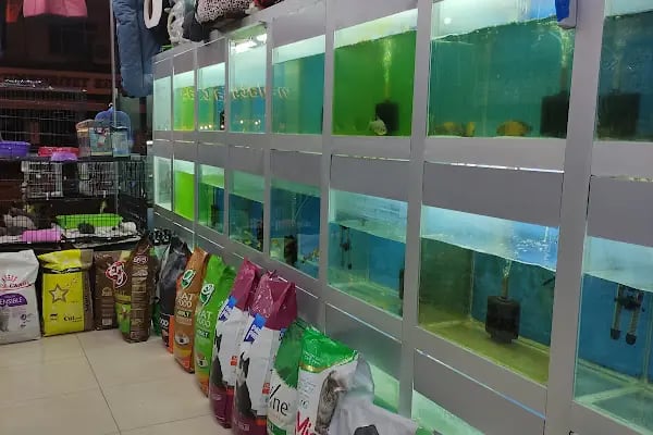 Trend Pet Market Petshop - Resim 15