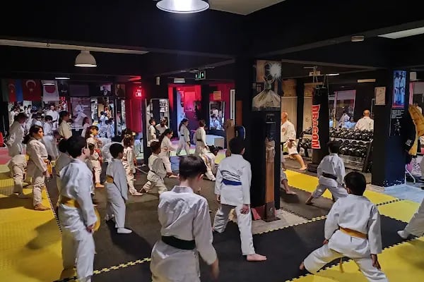 T.Erol spor kb. Karate Thai Kick Boks. M.M.A - Resim 10
