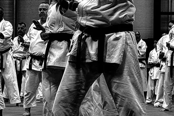 T.Erol spor kb. Karate Thai Kick Boks. M.M.A - Resim 12