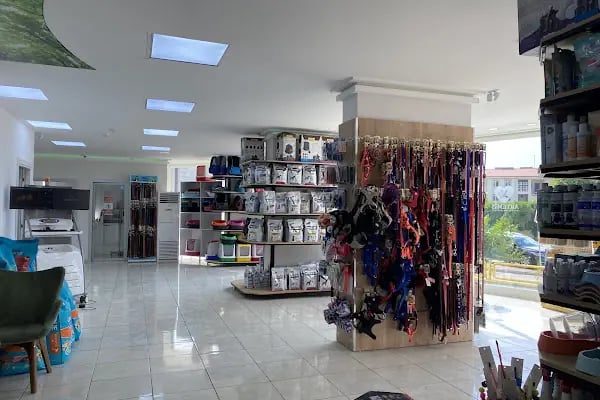 ARTEMİS VETERİNER KLİNİĞİ - Resim 8