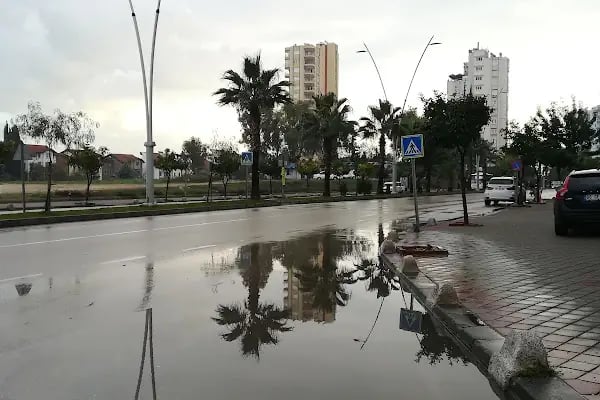 ARTEMİS VETERİNER KLİNİĞİ - Resim 12