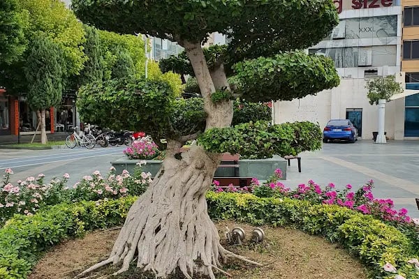 Cumhuriyet Meydanı Kapalı Otaparkı - Resim 3