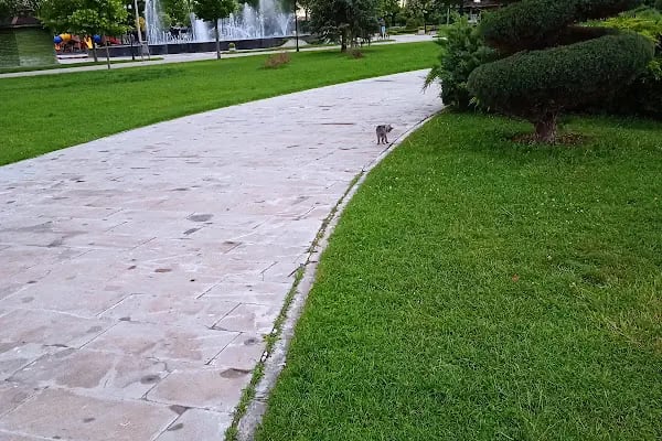 Olimpiyat Parkı - Resim 17