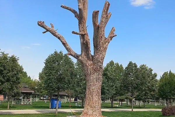 Olimpiyat Parkı - Resim 3