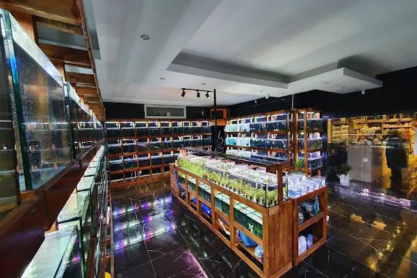 Cikletist Akvaryum Petshop - Resim 6