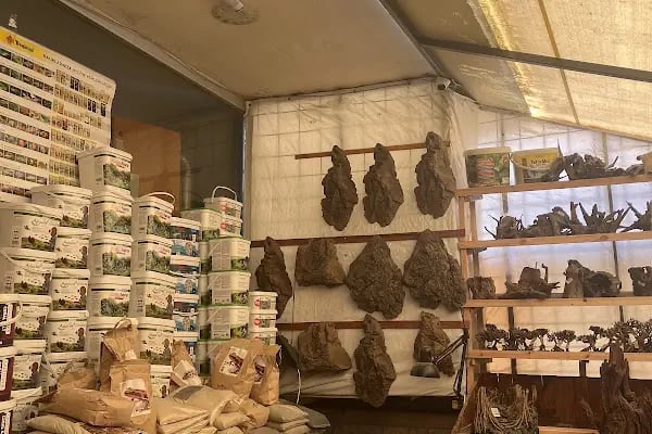 Cikletist Akvaryum Petshop - Resim 3