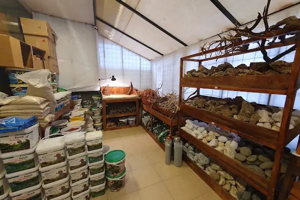Cikletist Akvaryum Petshop - Resim 19