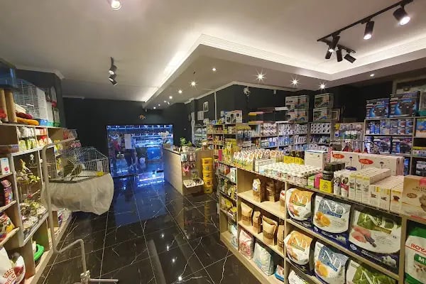 Cikletist Akvaryum Petshop - Resim 17