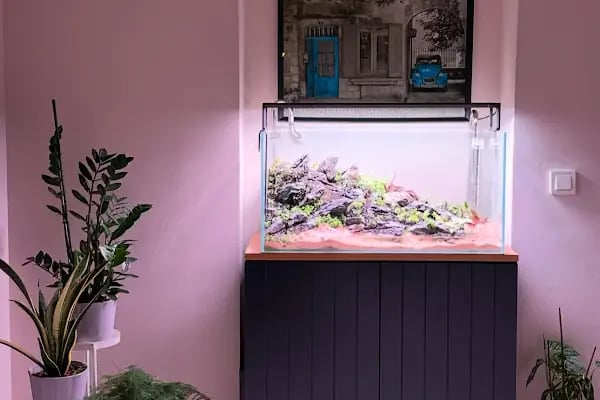 Cikletist Akvaryum Petshop - Resim 5