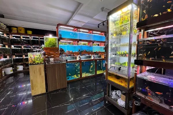 Cikletist Akvaryum Petshop - Resim 18
