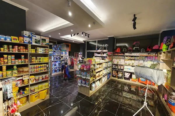 Cikletist Akvaryum Petshop - Resim 20