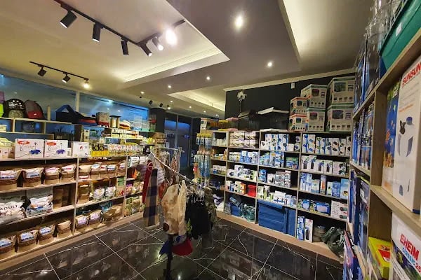 Cikletist Akvaryum Petshop - Resim 9
