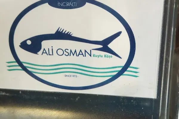 Ali Osman - Resim 5