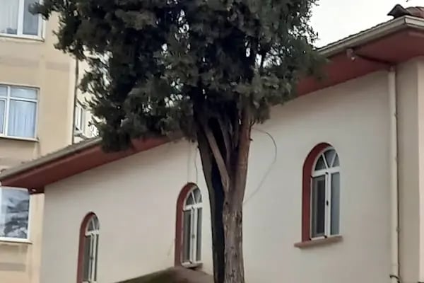 Kemalpaşa Boşnak Cami - Resim 9