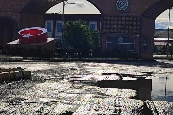 Kafkas Üniversitesi Veteriner Fakültesi - Resim 7