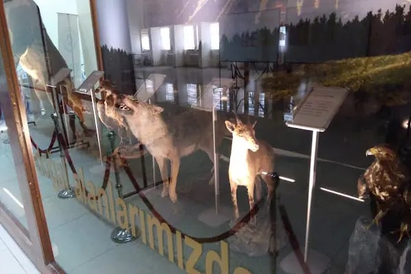 Kafkas Üniversitesi Veteriner Fakültesi - Resim 8