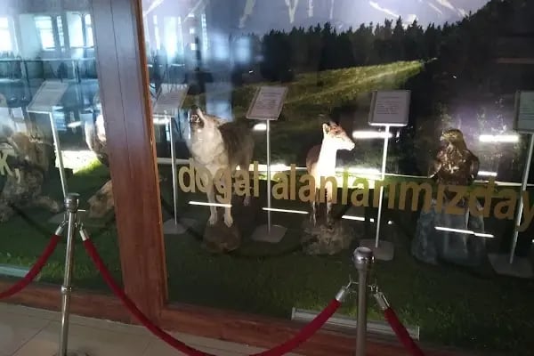 Kafkas Üniversitesi Veteriner Fakültesi - Resim 14