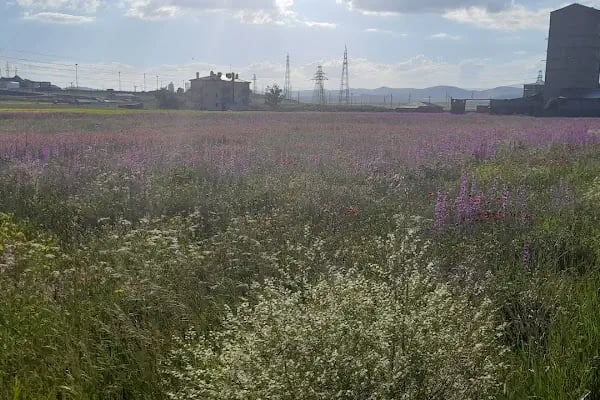 Kafkas Üniversitesi Veteriner Fakültesi - Resim 15