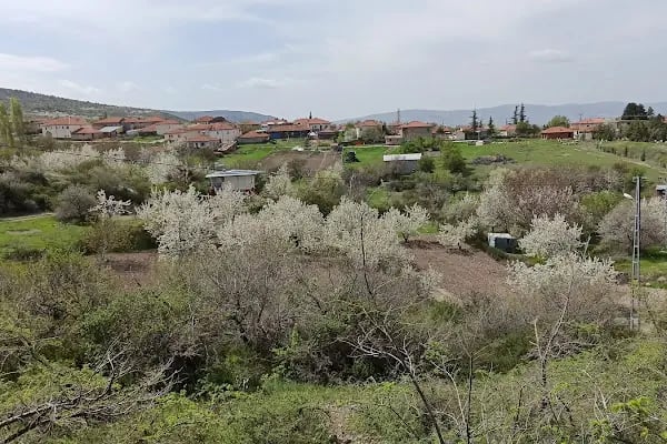Hayati GÜRTAN Hatıra Ormanı - Resim 6