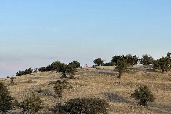 Hayati GÜRTAN Hatıra Ormanı - Resim 3
