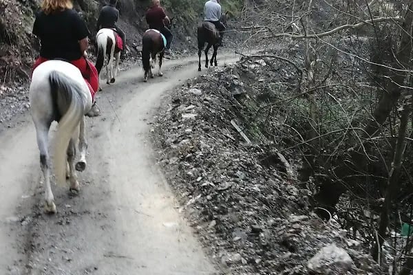 Carpe Diem Binicilik At Çiftliği - Resim 7