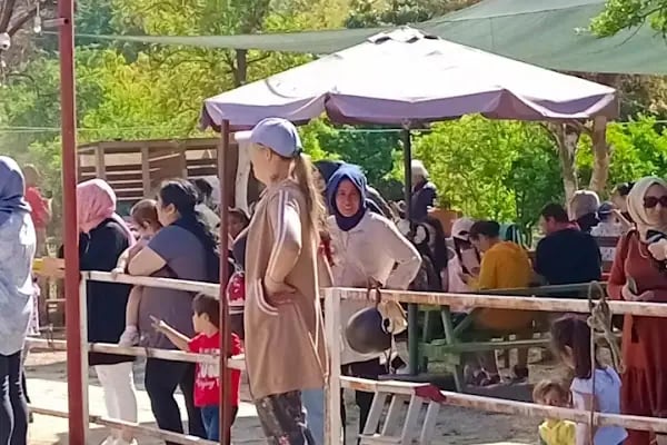 Carpe Diem Binicilik At Çiftliği - Resim 19
