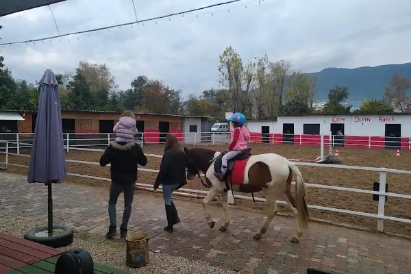 Carpe Diem Binicilik At Çiftliği - Resim 15
