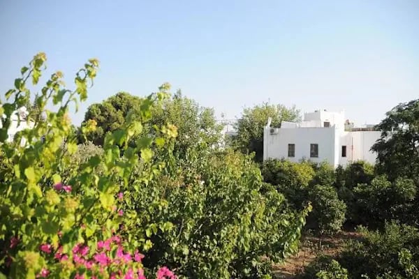 Hotel Güleç - Resim 4