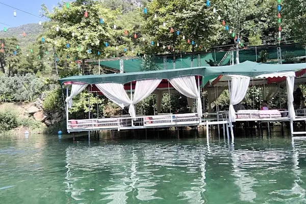 Dimçayı Panorama Piknik Restaurant - Resim 9