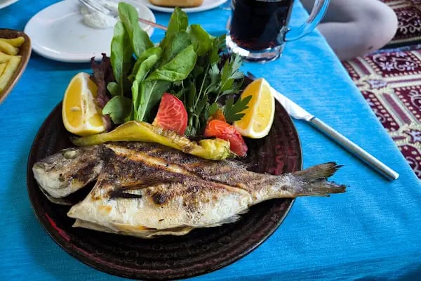 Dimçayı Panorama Piknik Restaurant - Resim 20