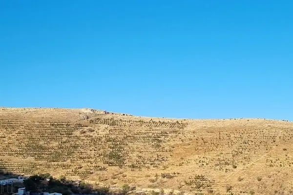 Doğa Koruma Milli Parklar 15. Bölge Müdürlüğü - Resim 17