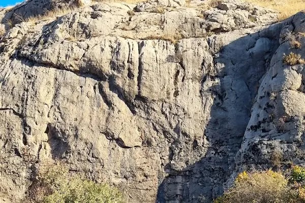 Doğa Koruma Milli Parklar 15. Bölge Müdürlüğü - Resim 8