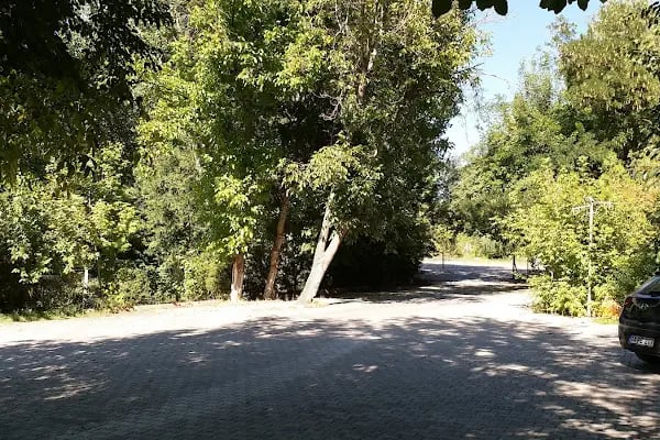 Atapark Mesire Yeri - Resim 5
