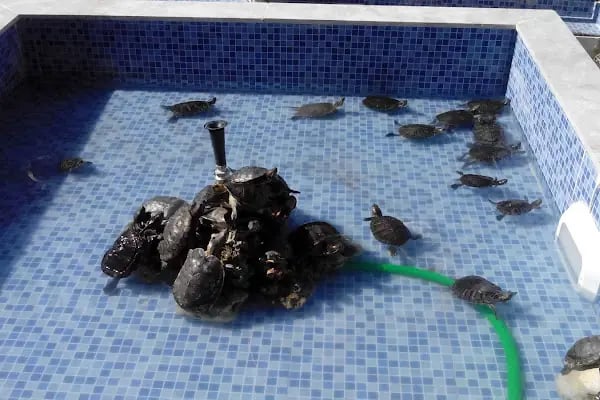 ARFA IMAGE VOLKAN ÇAKIR Fotoğraf Stüdyosu BOSTANLI - KARŞIYAKA - Resim 7