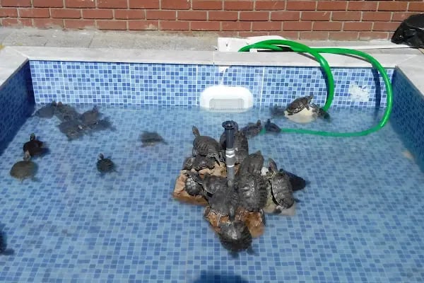 ARFA IMAGE VOLKAN ÇAKIR Fotoğraf Stüdyosu BOSTANLI - KARŞIYAKA - Resim 15