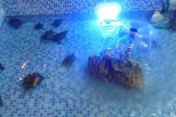 ARFA IMAGE VOLKAN ÇAKIR Fotoğraf Stüdyosu BOSTANLI - KARŞIYAKA - Resim 16
