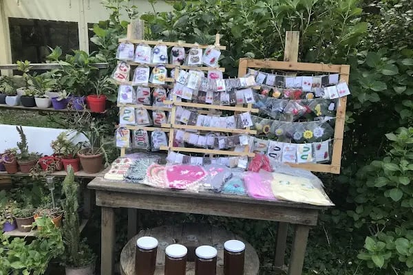 YENİ DEĞİRMEN RESTORAN EROL USTA’NIN YERİ - Resim 2