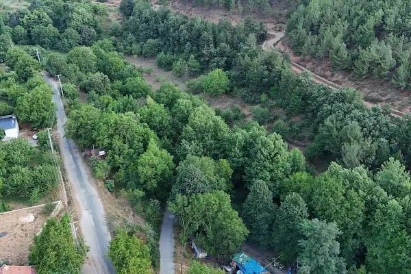 YENİ DEĞİRMEN RESTORAN EROL USTA’NIN YERİ - Resim 4
