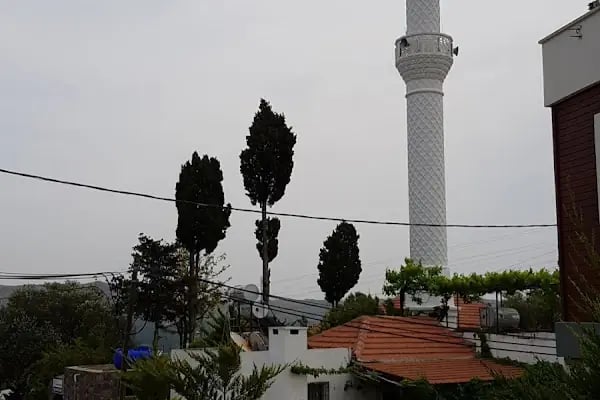 Yahşi Cami - Resim 12
