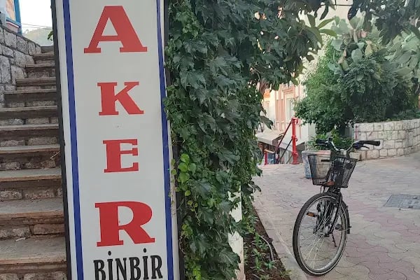 Aker Kurutemizleme (Laundry) koltuk ve halı yıkama fabrikası - Resim 11