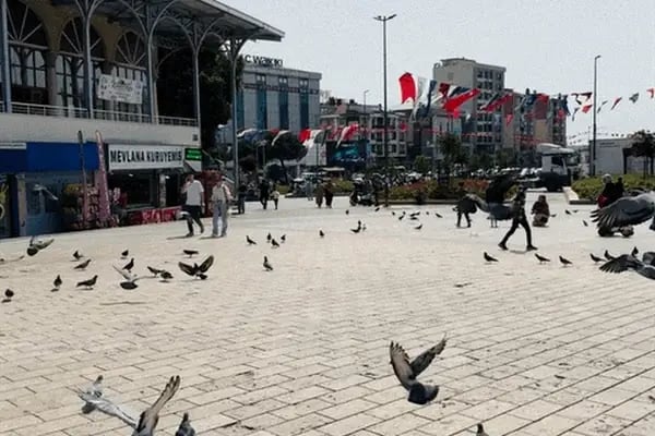 Bağcılar Meydan Bluediamond - Resim 6