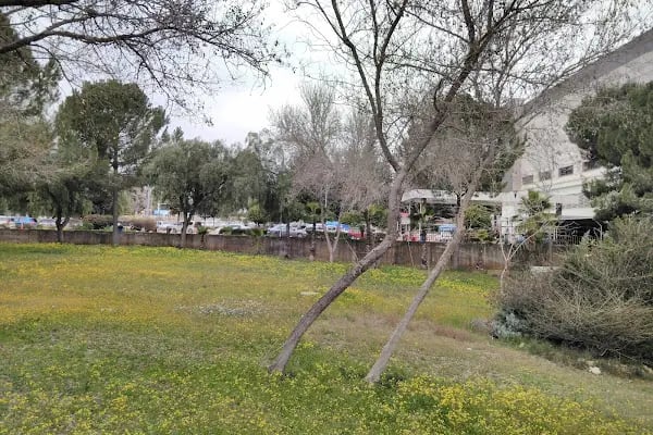 Balcalı Hastanesi - Çukurova Üniversitesi Tıp Fakültesi - Resim 5