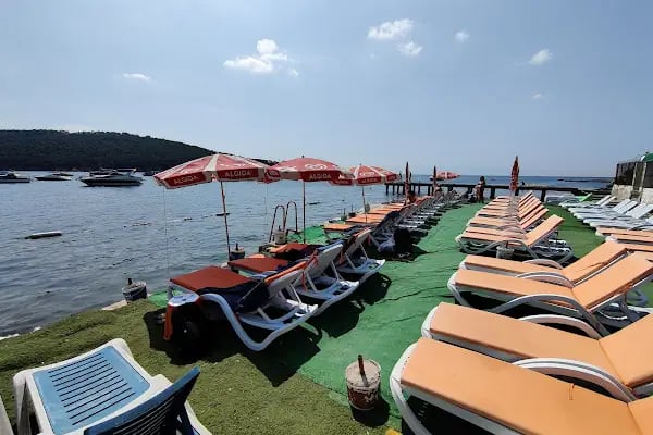 Dilan Pet shop,Akvaryum &amp; Kuş Evi - Resim 3