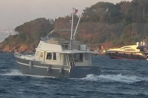 Dilan Pet shop,Akvaryum &amp; Kuş Evi - Resim 12