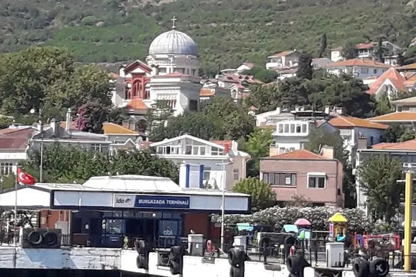 Dilan Pet shop,Akvaryum &amp; Kuş Evi - Resim 10