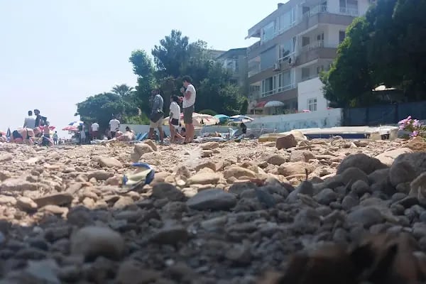 Dilan Pet shop,Akvaryum &amp; Kuş Evi - Resim 20